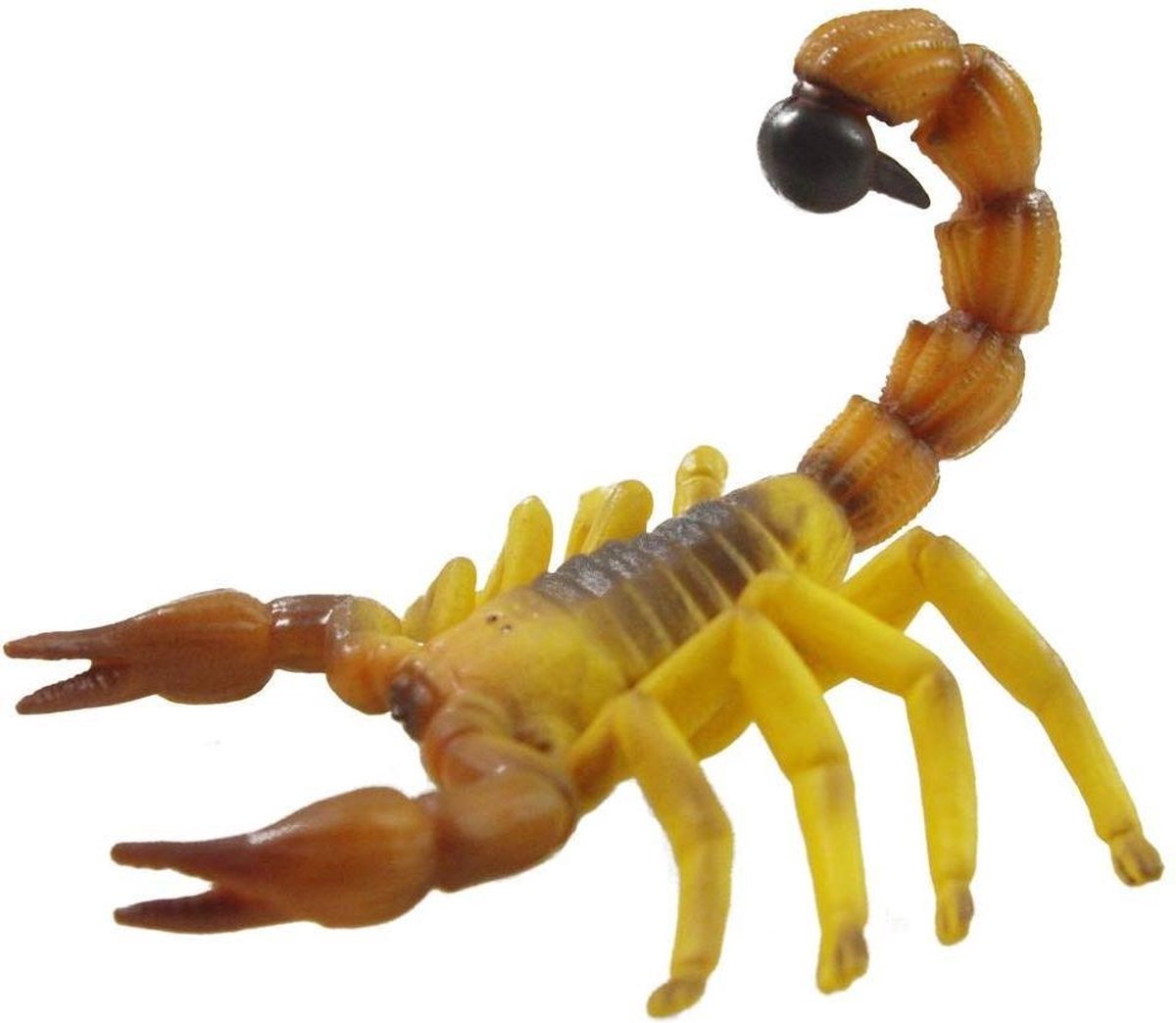 Collecta Insecten: Speelset In Giftverpakking 3-delig Libel