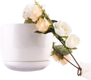Bloemenkrans wit haarband - rozenkrans boselfje bloemen rozen diadeem - elfje witte bloemetjes boself elf roosjes