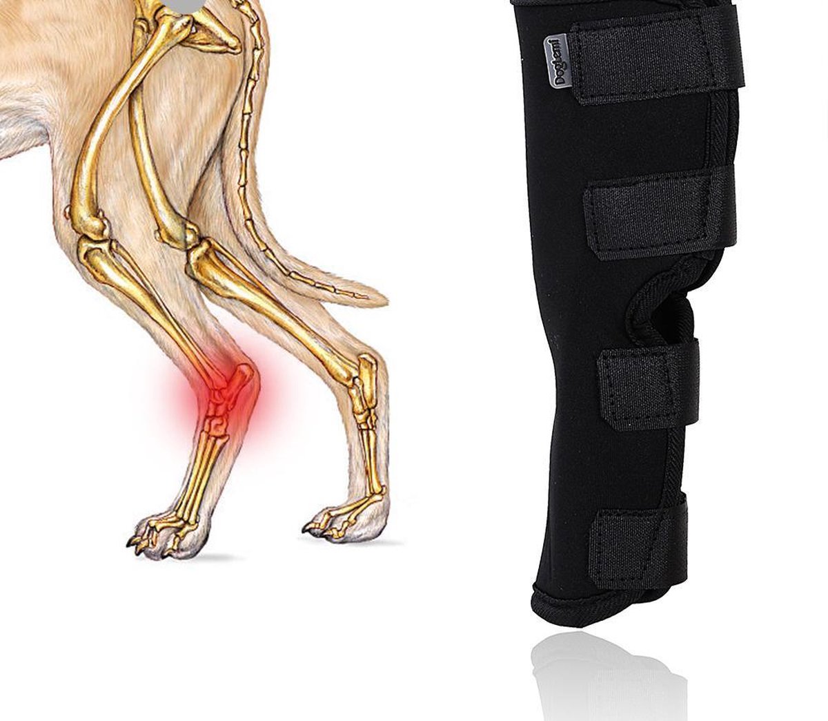 Honden brace voorpoot of achterpoot - Sterk steungevend  - Large - Zwart - Doegly