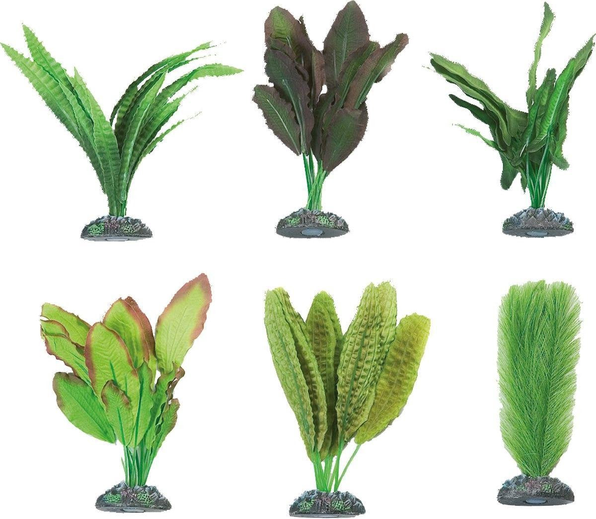 Aquarium plant Zijde Congo - +/- 12 cm