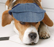 **dog cap size xs jeans design