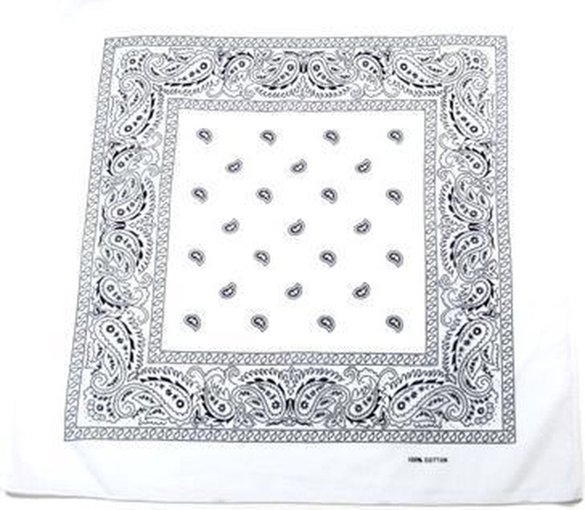 Zac's Alter Ego Bandana Paisley  Wit