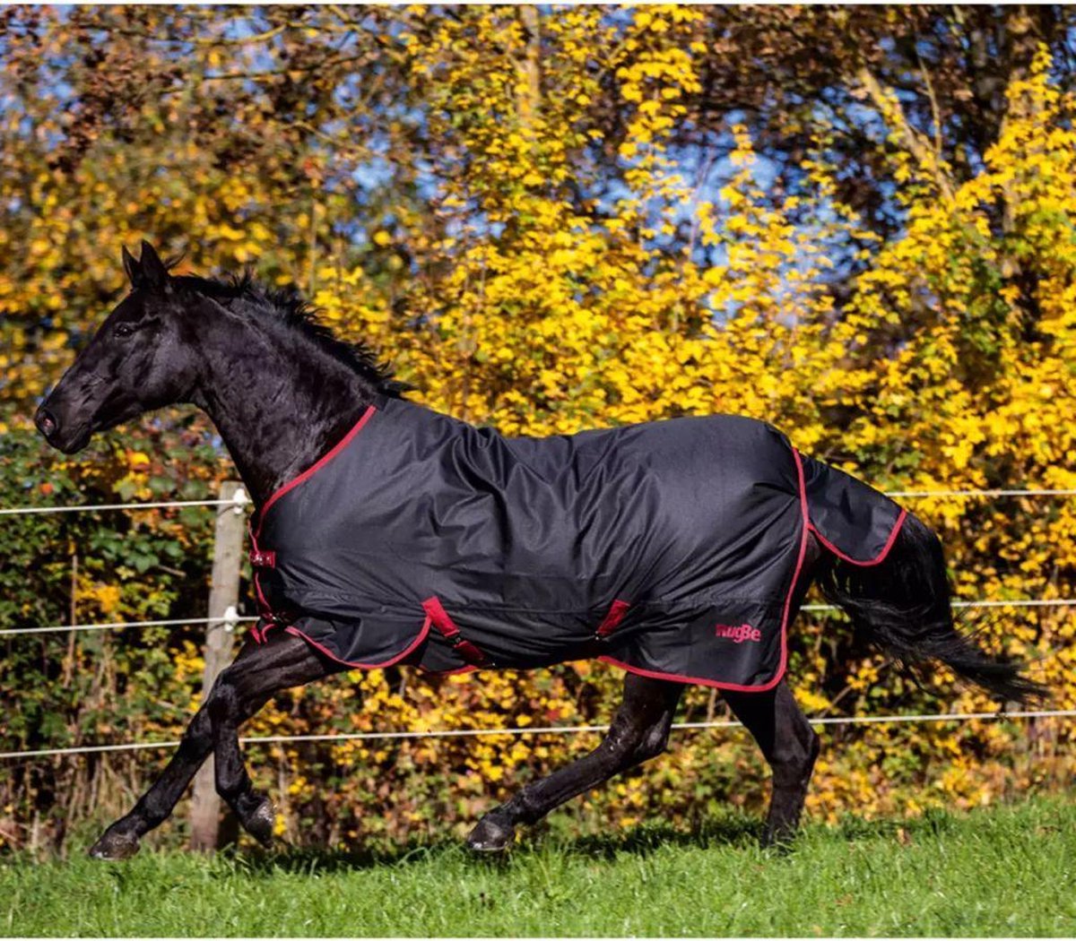 Kerbl Paardendeken Outdoor RugBe Zero 1 - Zwart/rood - 165 cm