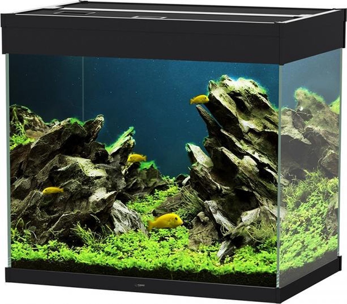 Ciano Aquarium emotions nature pro 60 Zwart 61