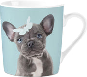 Mok Studio Pets French Bull