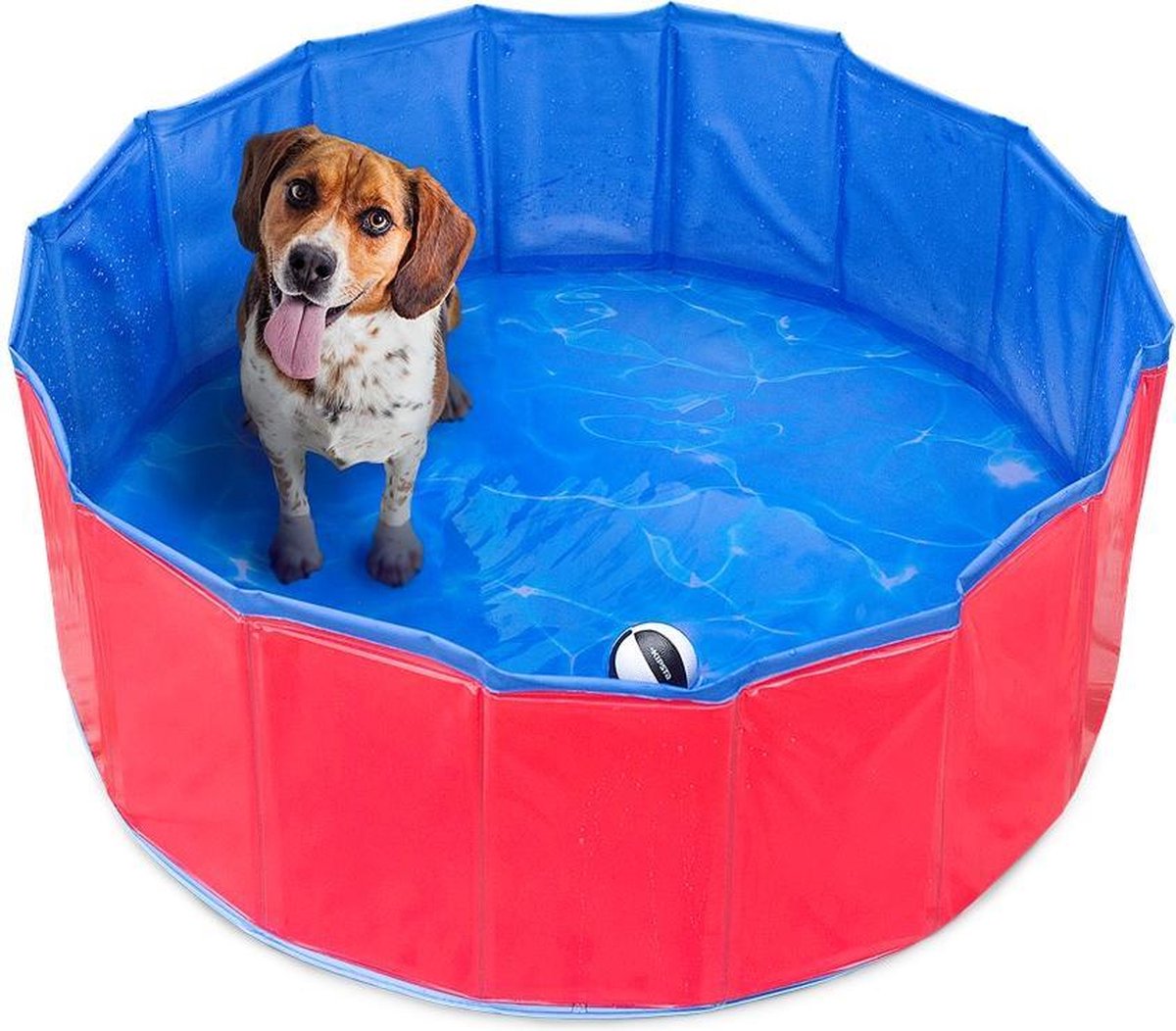 Honden zwembad - Zwembad voor honden - Honden zwembad - Zomer  - Afkoelen - Heet