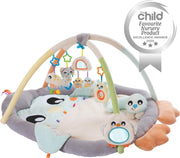 Snuggle Me PenguinTummy Time Gym - Babygym Penquïn Met Buikligkussen