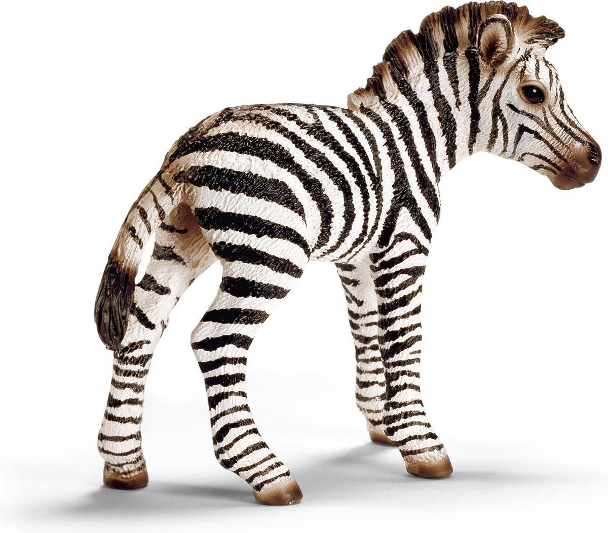 Zebra Veulen