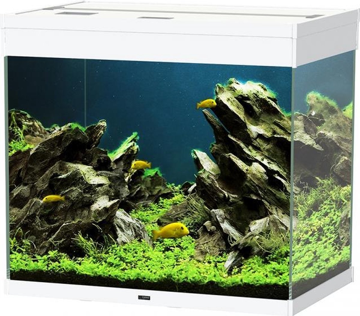 Ciano Aquarium emotions nature pro 60 Wit 61