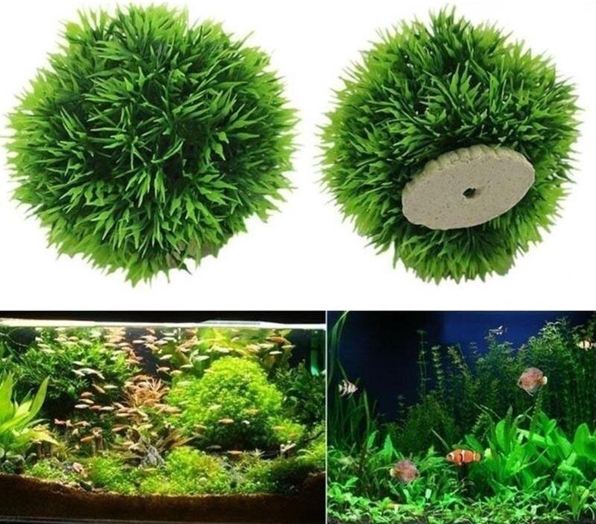 Dierplezier - Aquarium decoratie - Boom - Kunstplant Aquarium - Planten voor aquarium - Mooie plantendecoratie –Plantenbundel - Aquariumdecoratie 6cm - Aquariumversiering - Benodigdheden aquarium