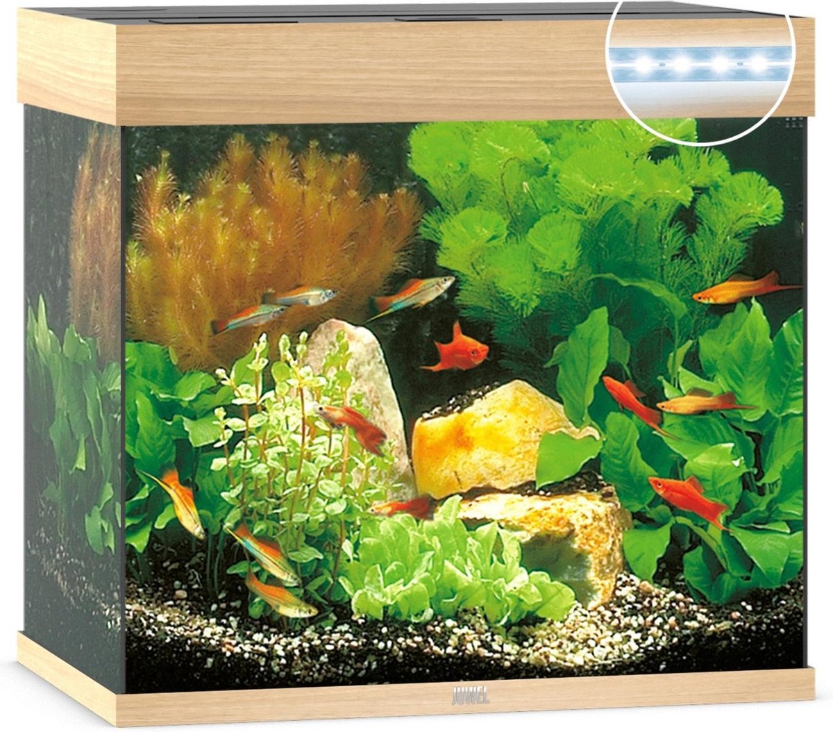 Juwel Lido 120 LED Aquarium - Houtkleur - 120L - 61 x 41 x 58 cm
