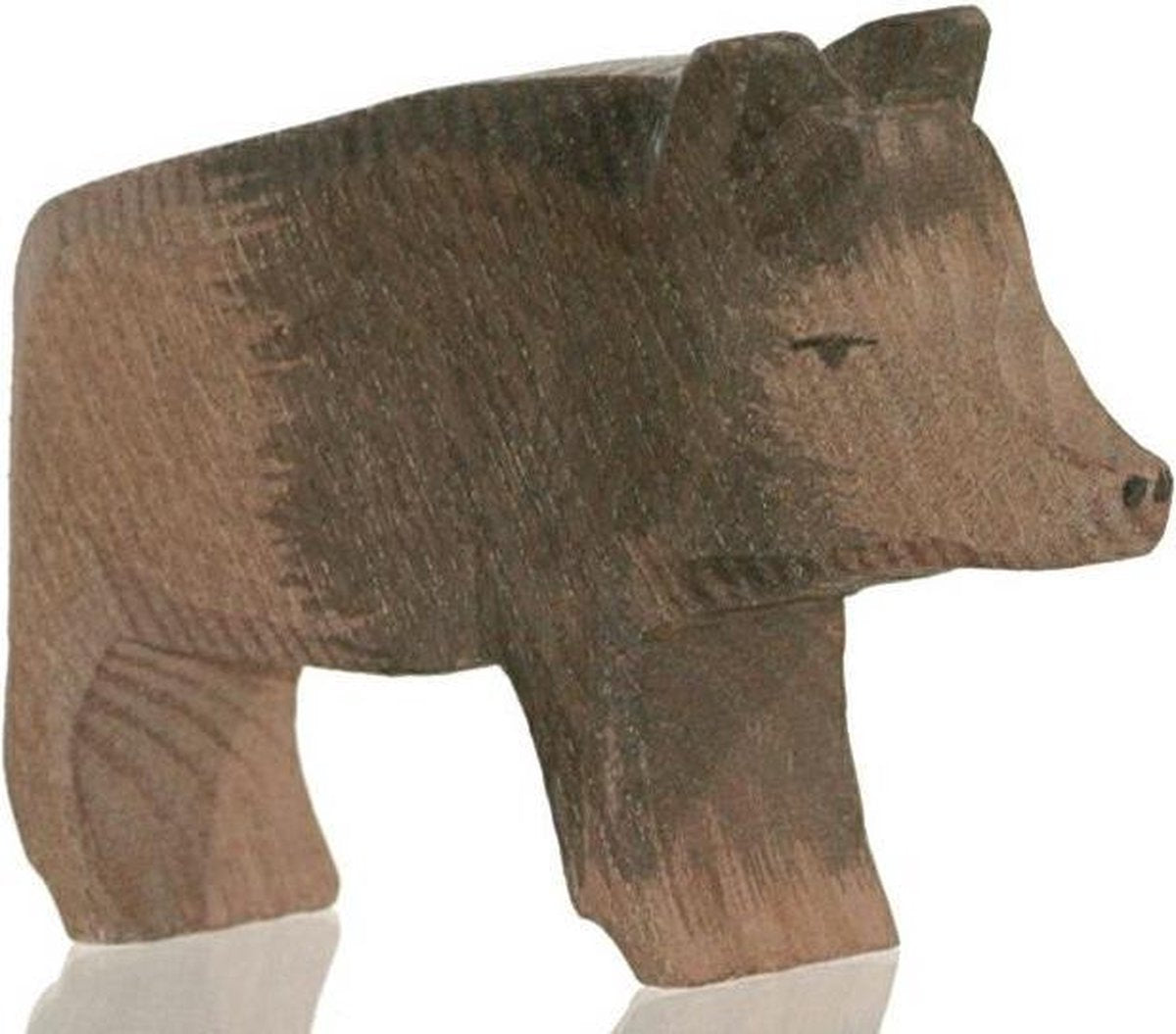Wild Boar Sow