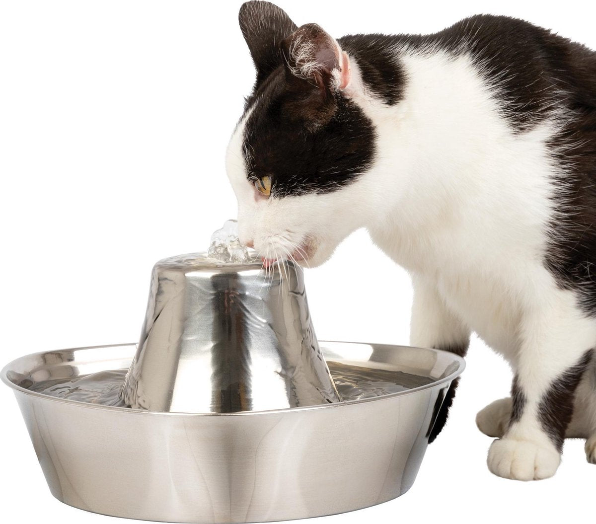 PetSafe® Seaside Stainless Steel Pet Fountain - RVS drinkfontein voor katten en kleine honden - Water borrelt zacht over de toren - Door het design van alle kanten bereikbaar - 1