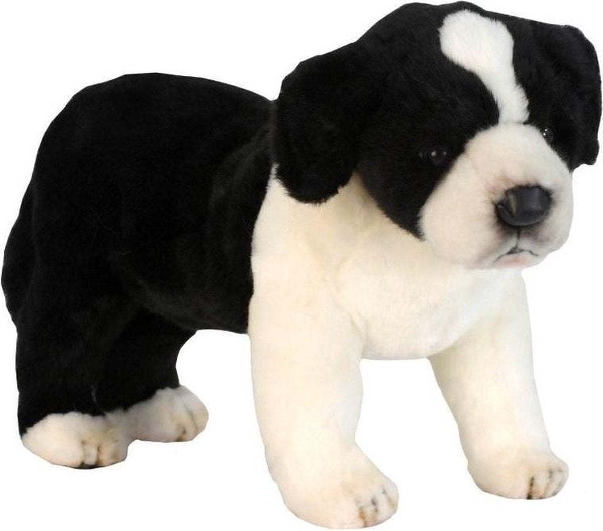 Pluche hond Border Collie knuffel 39 cm