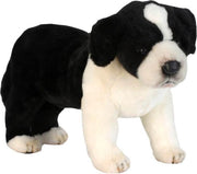 Pluche hond Border Collie knuffel 39 cm