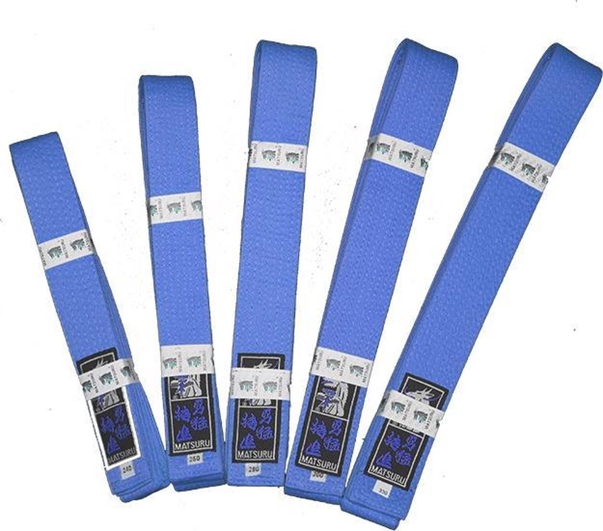 Budo Band Blauw - 300 cm