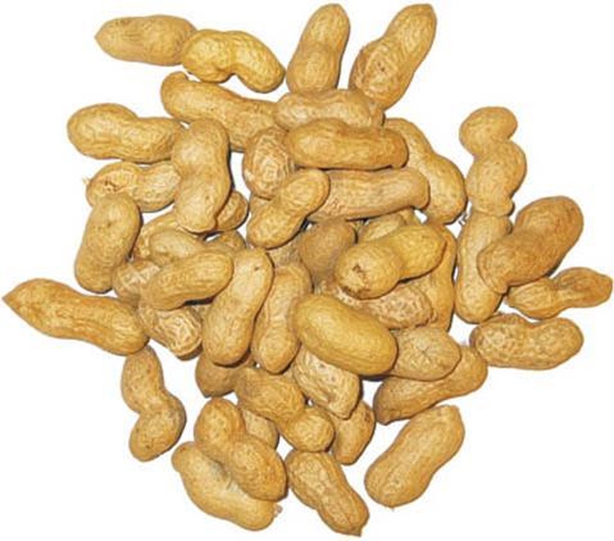 Tijssen Pinda's Ongepeld - 1.5 kg