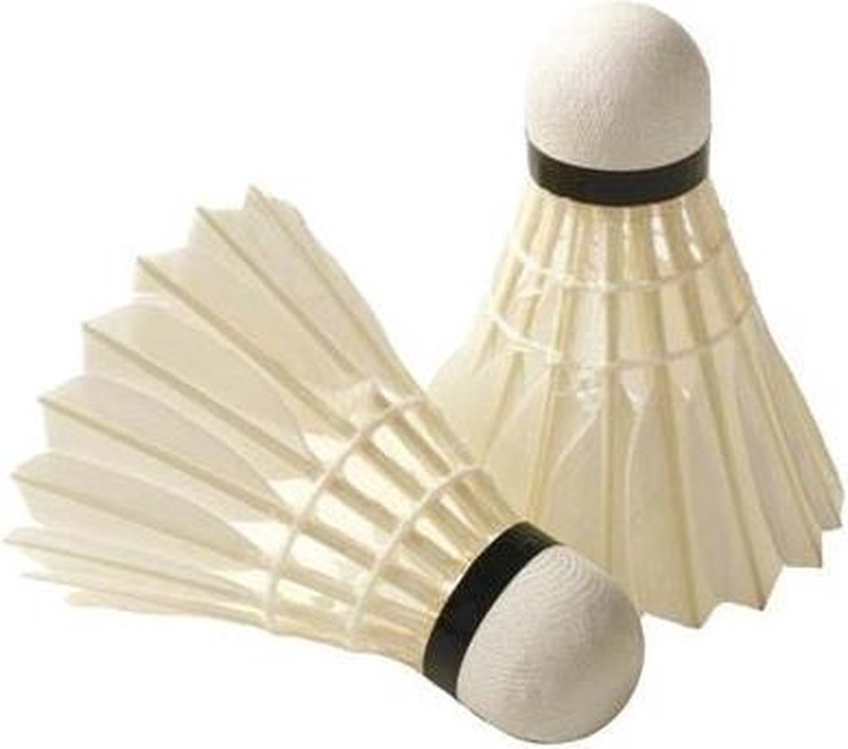 Amigo Badmintonshuttle Pro 6 In Koker