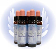 Angel of Transmutation Angel Essence