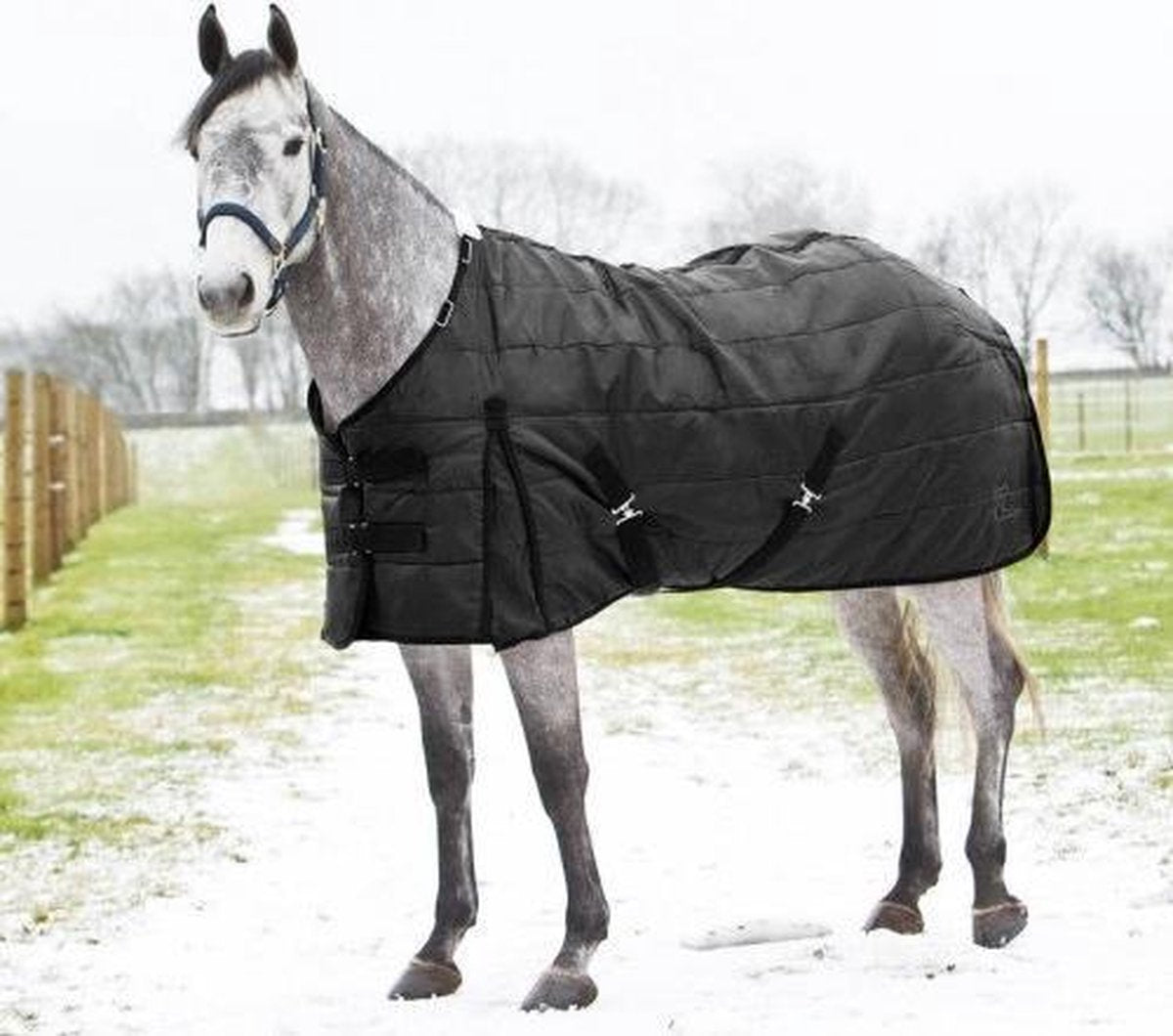 Navada Winter Staldeken 200gr - Maat 205