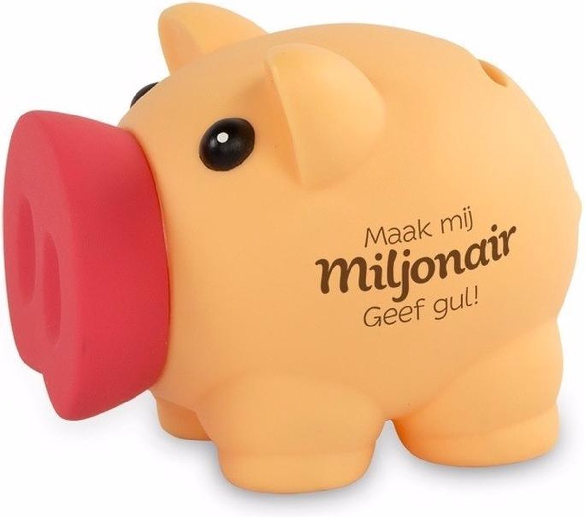 Spaarvarken Maak mij miljonair