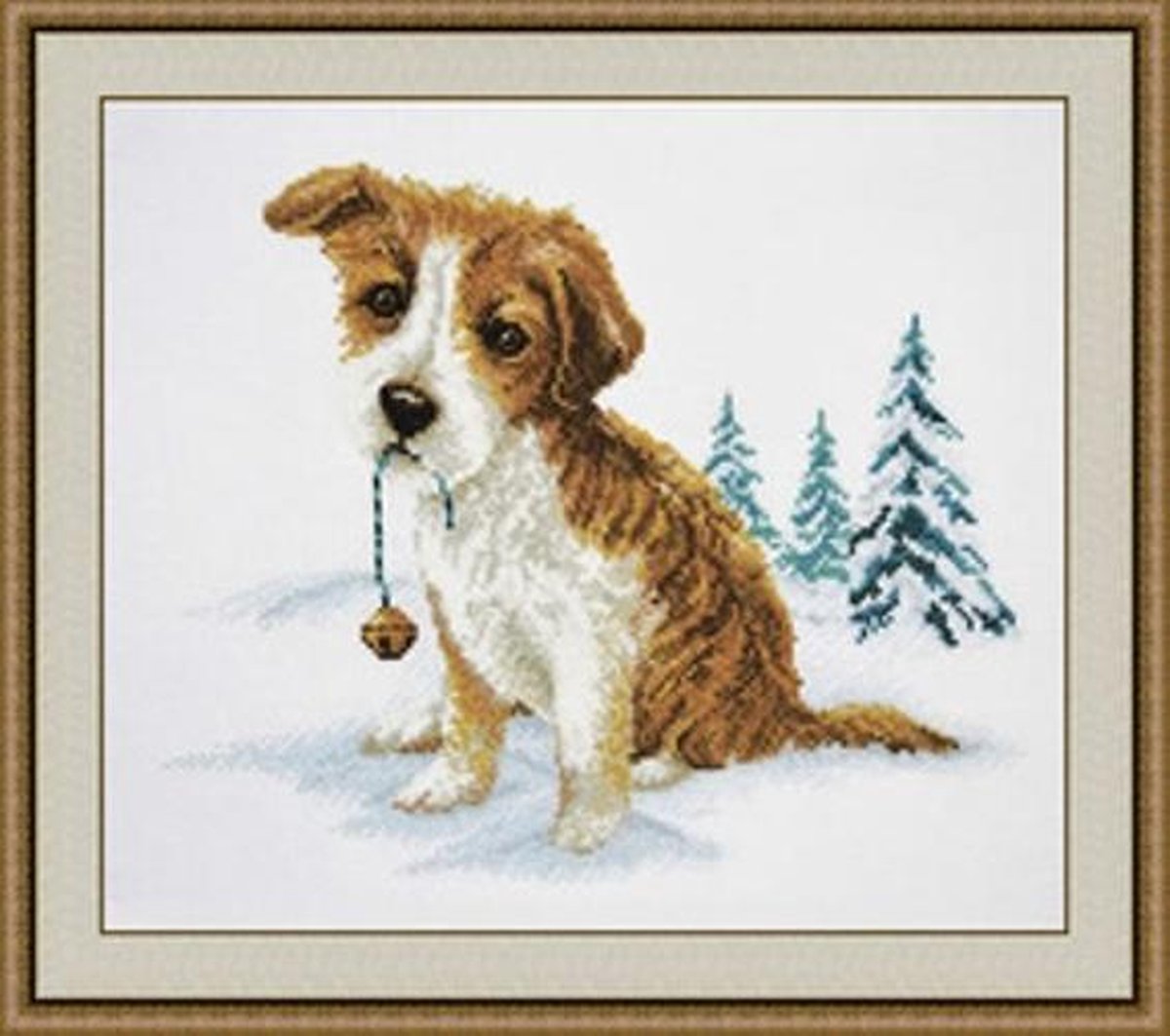 A lost puppy
