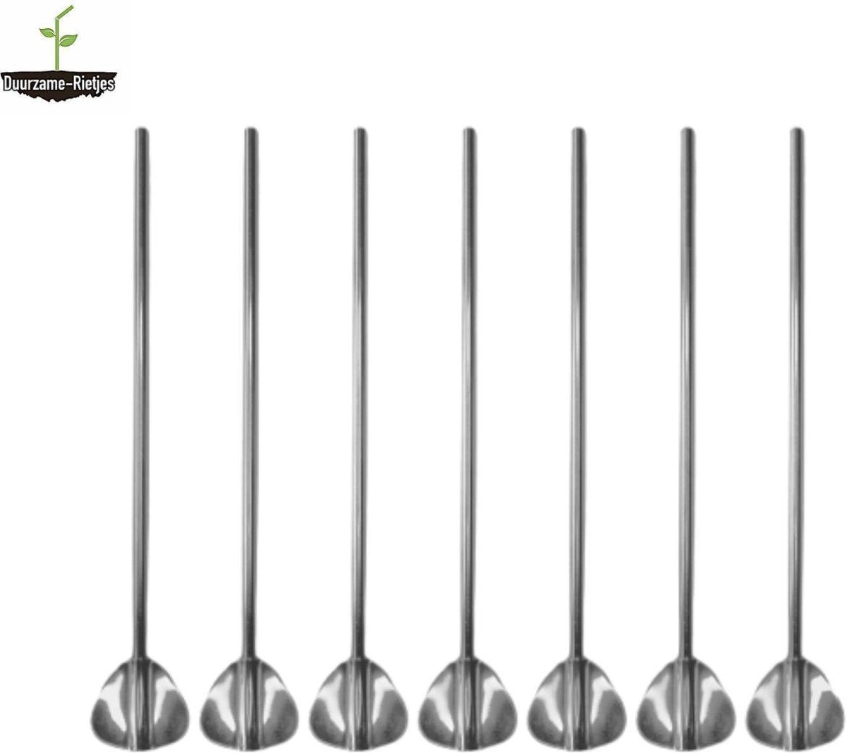 RVS Lepel Rietjes Zilver 6 Stuks Lepelrietjes - Lange Lepels 21