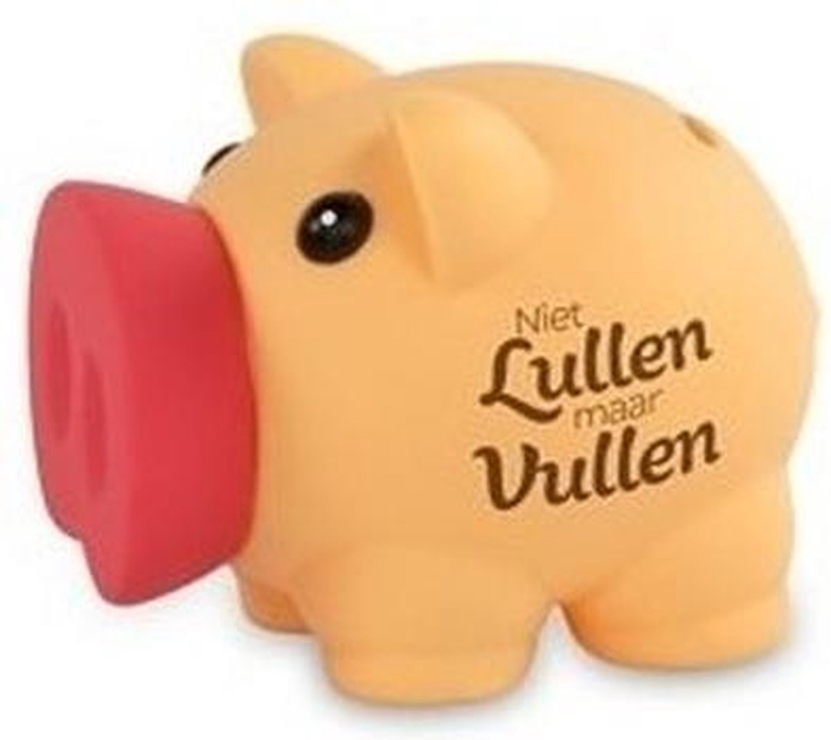 Spaarpot varken niet lullen