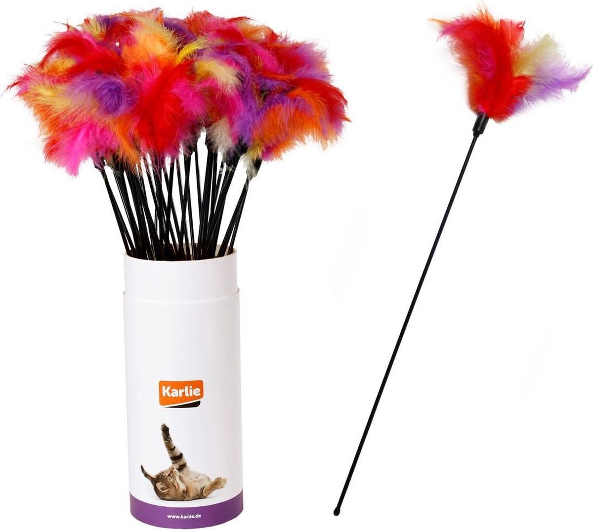 Cat tickler tube with feathers