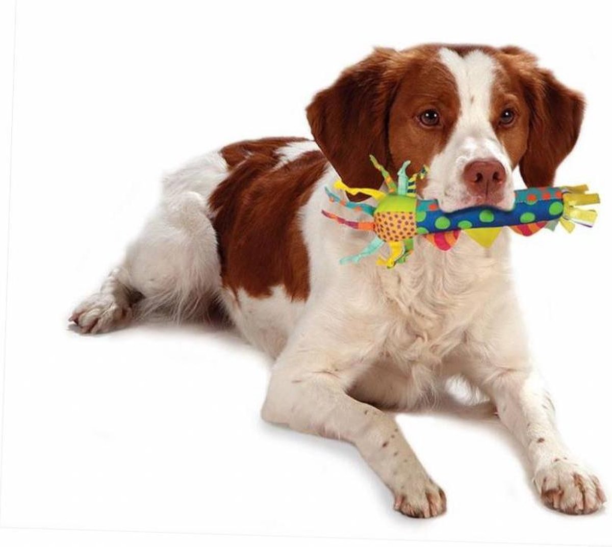 Petstages Cool Teething Stick - Verkoelend kauwspeeltje voor puppies - Geschikt om in te vriezen