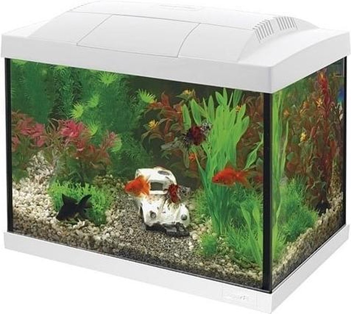 Superfish Start 20 Goldfish Aquarium LED - 20 L - Wit - 36 x 23 x 32.1 cm