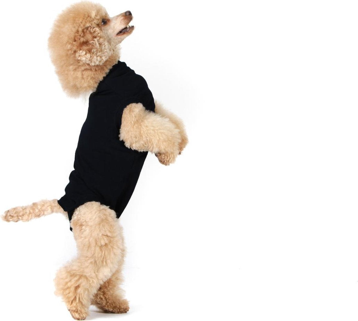 Suitical recovery suit hond zwart xs 40-45 cm
