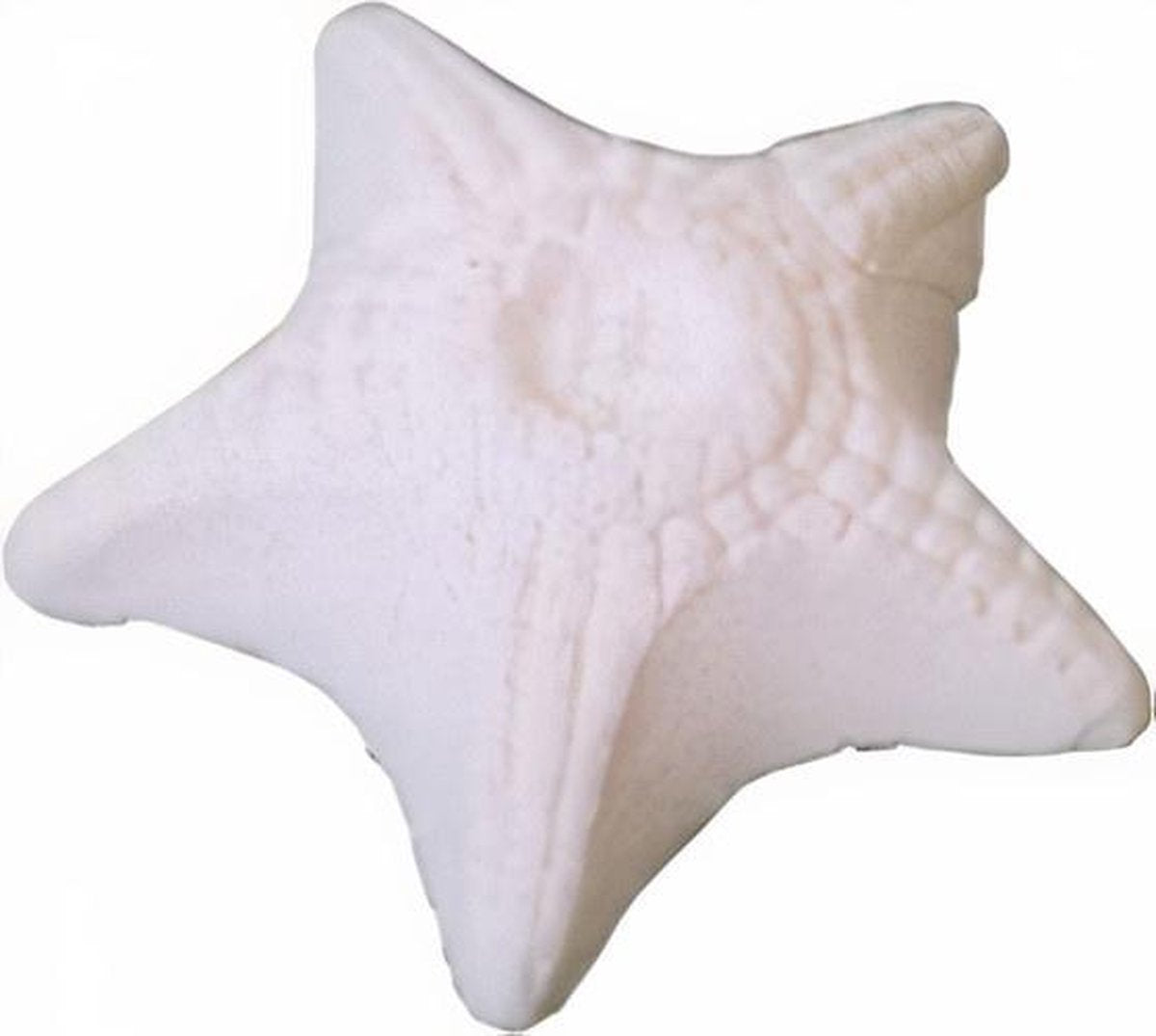 Boon Zuurstofsteen Nutra Vitalizer Aquarium 6 X 2 Cm Wit
