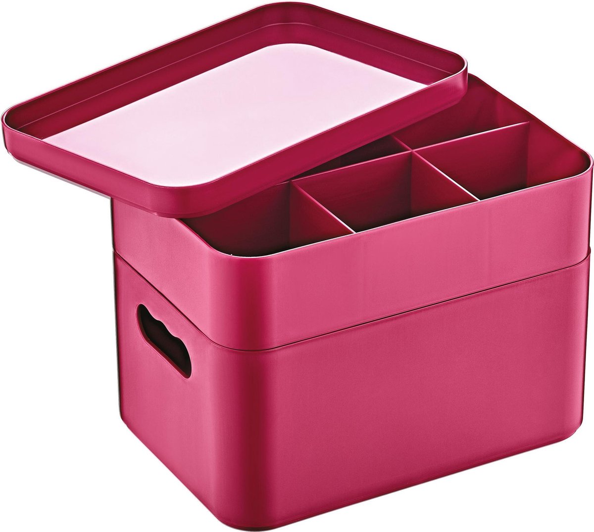Herzberg HG-OKY676: 2-Laags multifunctionele organizer box