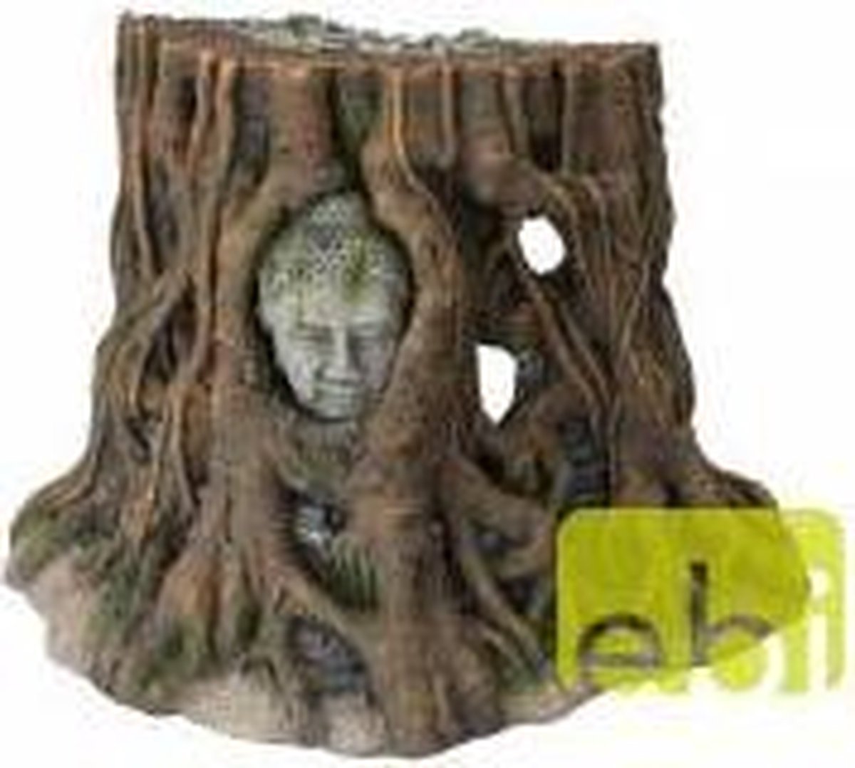 Aquarium Della Buddha Tree Thailand