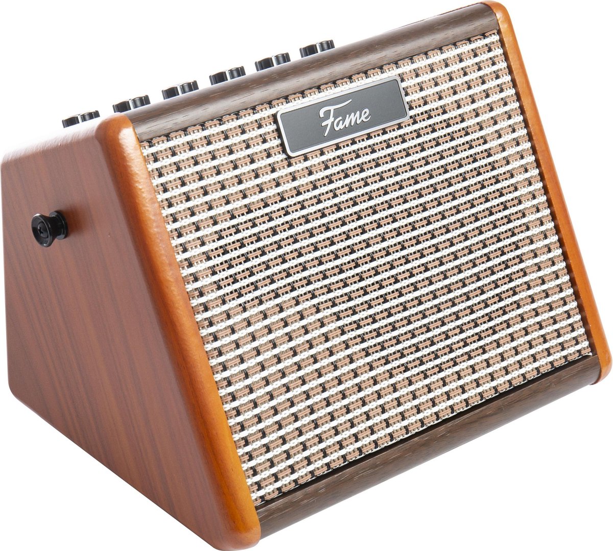 Combo's voor akoestische gitaarversterkers - Fame AG-15A Battery Amplifier (Electro-Acoustic Guitar)