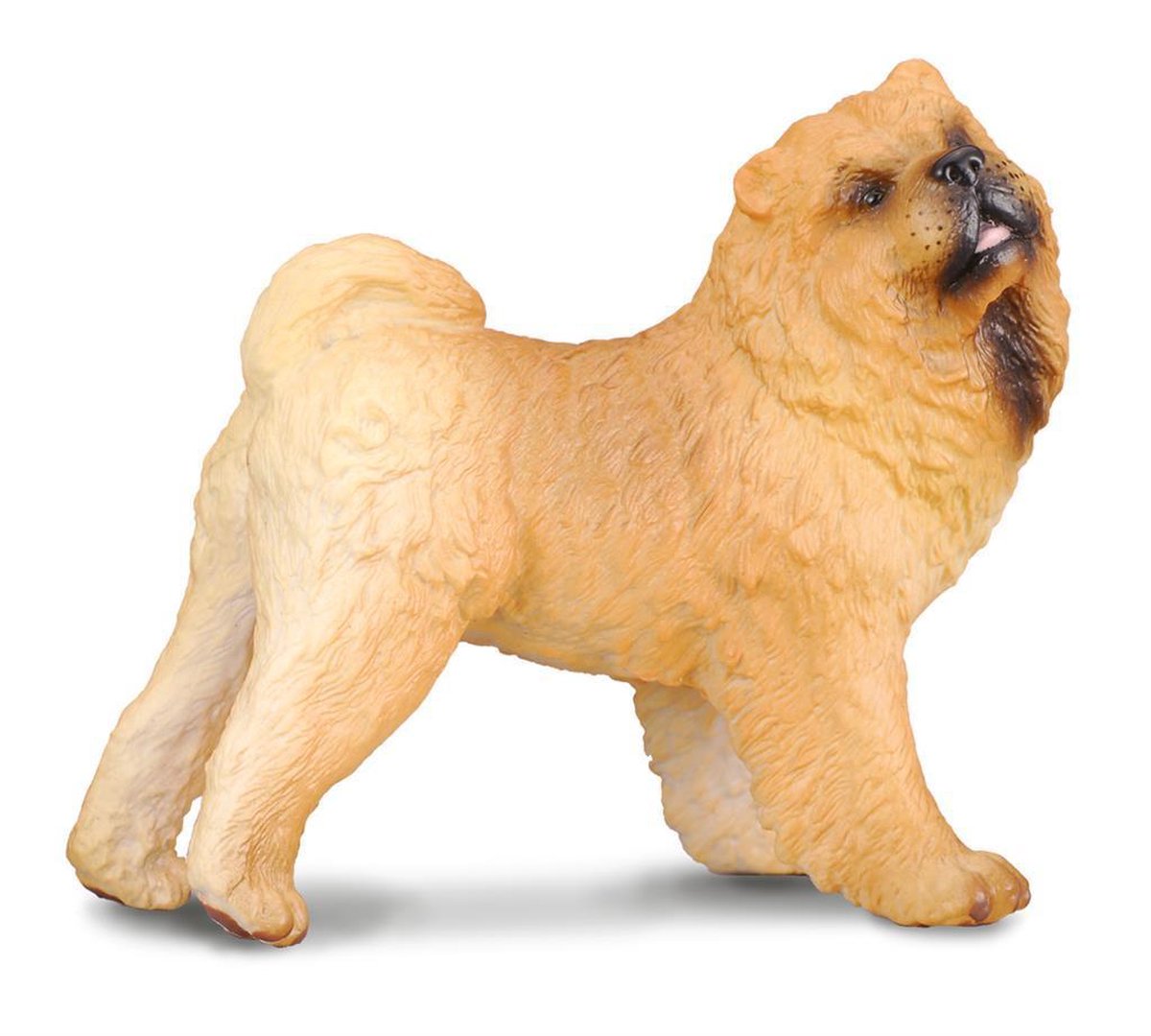 Collecta Honden (L): CHOW CHOW 7.5x4x6.5cm