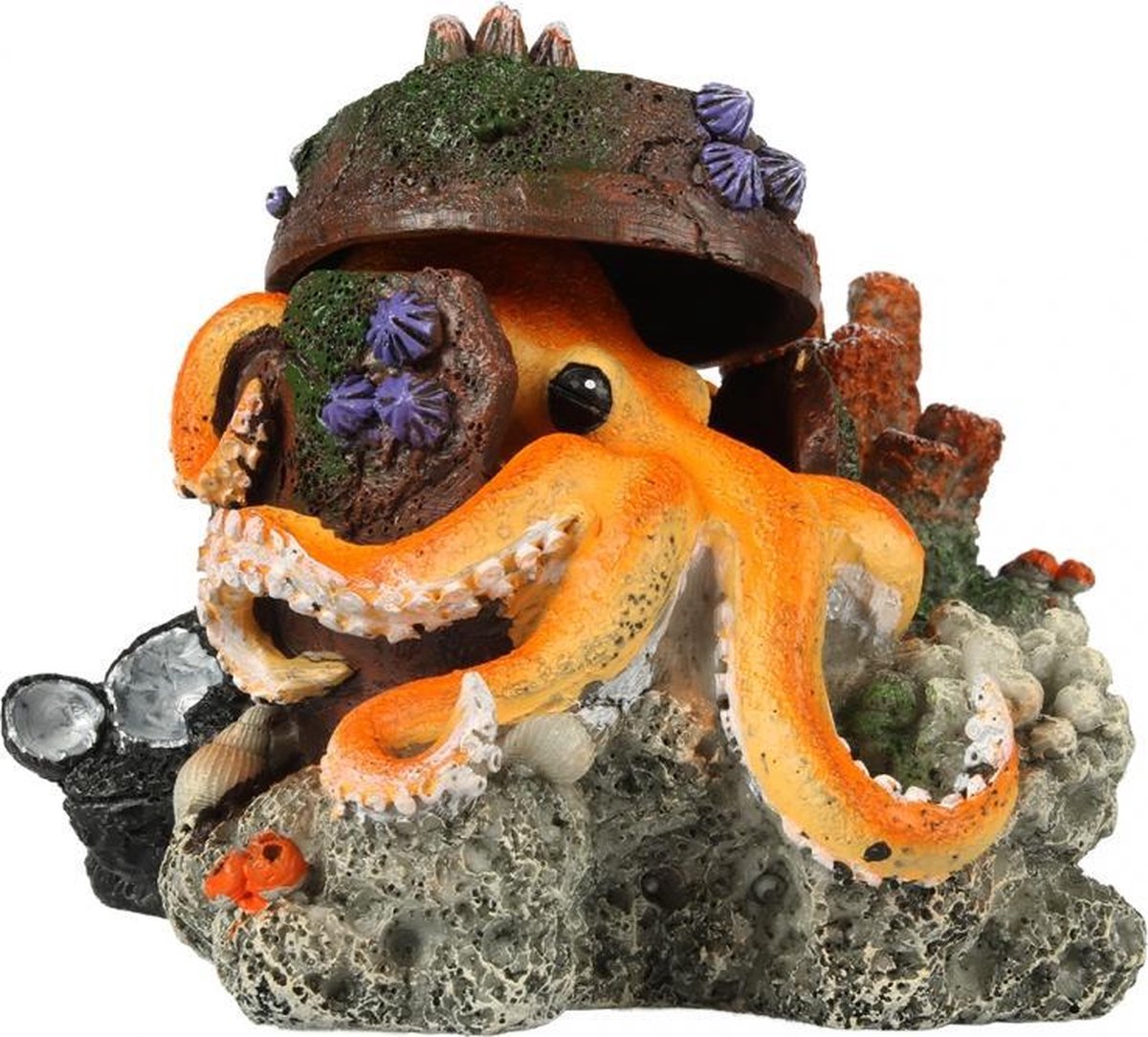Auqa Della Verdwaalde octopus 15