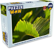 Puzzel Sagopalm 500 stukjes - Close-up van een sagopalm met geveerde bladeren