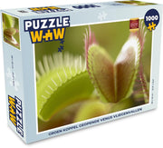 Puzzel 1000 stukjes volwassenen Venus Vliegenval 1000 stukjes - Groen koppel geopende Venus Vliegenvallen  - PuzzleWow heeft +100000 puzzels