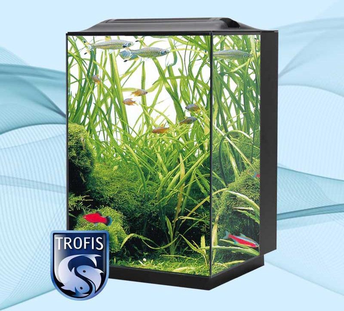 Trofis Botia (AL-50)