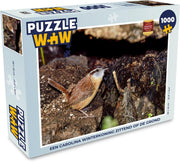 Puzzel 1000 stukjes volwassenen Carolina winterkoning 1000 stukjes - Een carolina winterkoning zittend op de grond PuzzleWow heeft +100000 puzzels