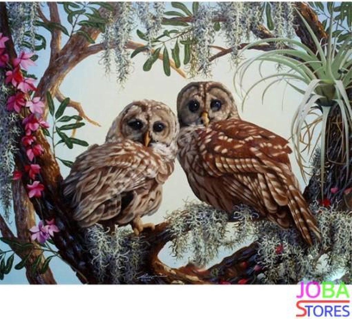 Schilderen op nummer "JobaStores®" Uilen in boom 40x50cm