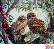 Schilderen op nummer "JobaStores®" Uilen in boom 40x50cm