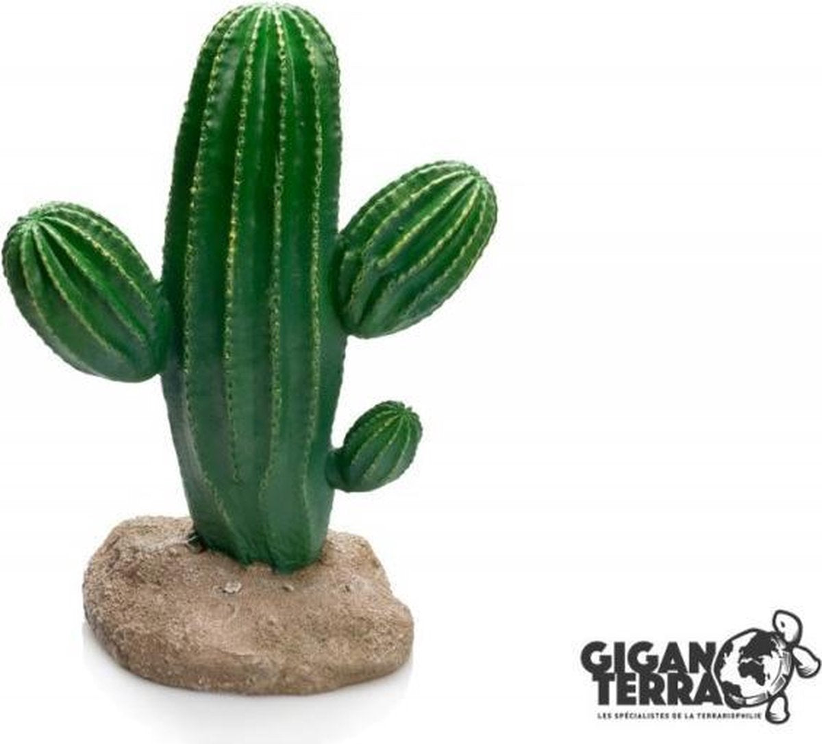 Giganterra Cactus 17x13x24
