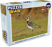 Puzzel 1000 stukjes volwassenen Kievit 1000 stukjes - Kleurrijke kievit is opzoek naar voedsel  - PuzzleWow heeft +100000 puzzels
