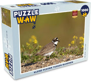 Puzzel 1000 stukjes volwassenen Kleine plevier 1000 stukjes - Kleine plevier tussen bloemen  - PuzzleWow heeft +100000 puzzels
