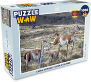 Puzzel 1000 stukjes volwassenen Lama's & Alpaca's 1000 stukjes - Lama springt over een hek  - PuzzleWow heeft +100000 puzzels