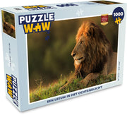 Puzzel 1000 stukjes volwassenen Leeuw - nieuw 1000 stukjes - Een leeuw in het ochtendlicht puzzel 1000 stukjes  - PuzzleWow heeft +100000 puzzels