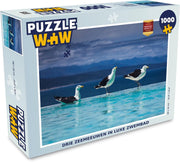 Puzzel 1000 stukjes volwassenen Meeuw 1000 stukjes - Drie zeemeeuwen in luxe zwembad puzzel 1000 stukjes  - PuzzleWow heeft +100000 puzzels